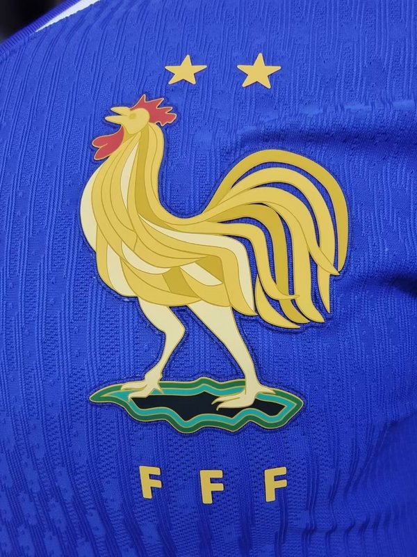 2024 France home